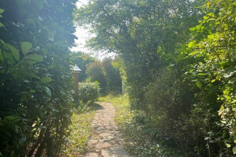 Amport Beeches