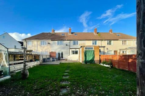 Back Garden 2