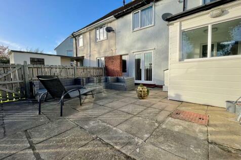 Back Garden 3
