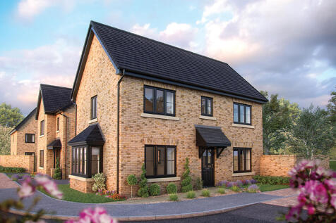 DS01758 POUNDL [11] Spruce X307 Plot 88_web