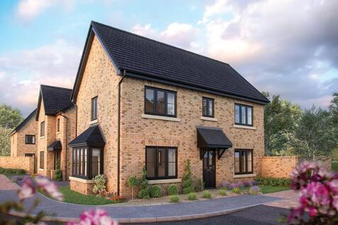 DS01758 POUNDL [11] Spruce X307 Plot 88_web