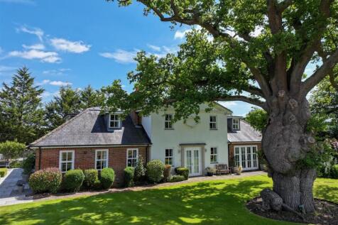 Garden : Tree.jpg