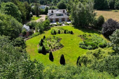 Full Garden.jpg