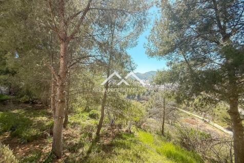 Property Image 37