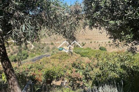 Property Image 64