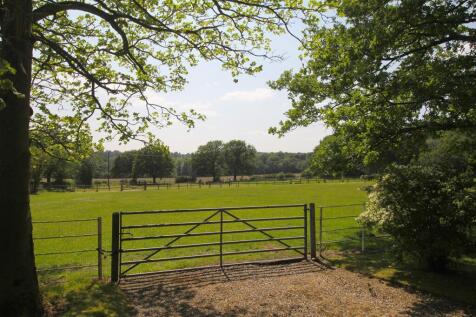 Countryside Views