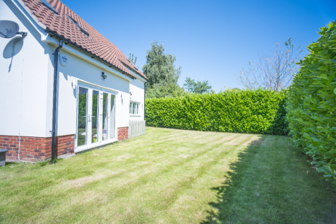 Back Garden
