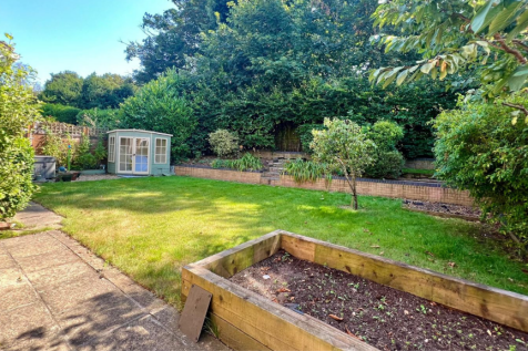 Back garden