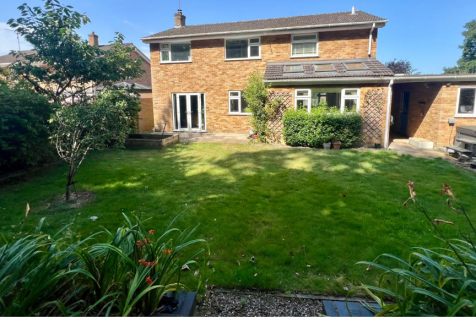 Back garden