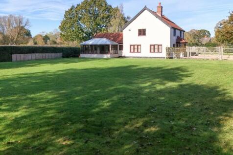 Back Garden