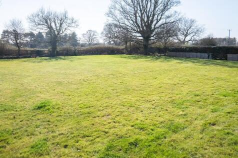 Back Garden