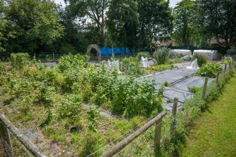 Grow your own area