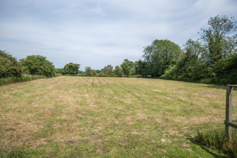 Field 
