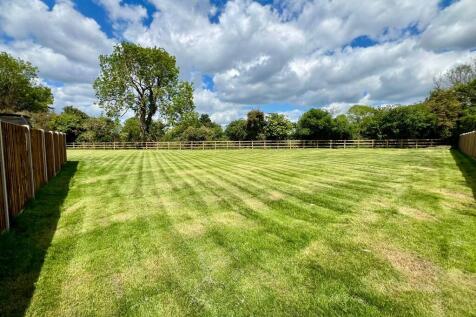 Back Garden