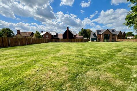 Back Garden