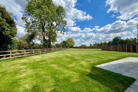 Back Garden