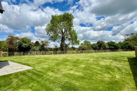Back Garden