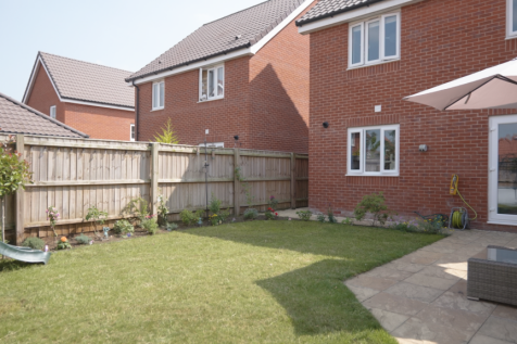 Back Garden
