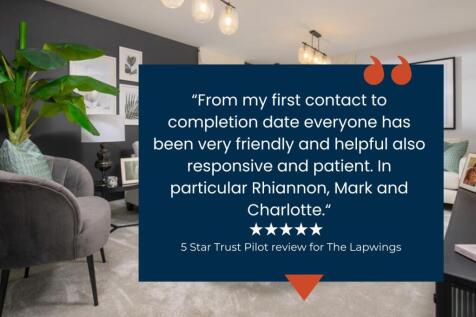 5 Star review for The Lapwings