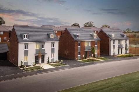 The Lapwings Winter Photo