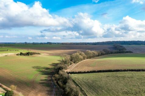 DJI_0782.jpg