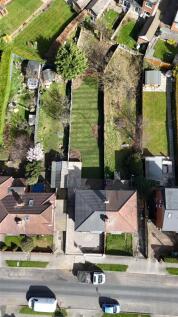 Garden 4.jpg
