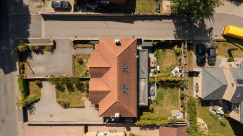 DJI_0296.jpg
