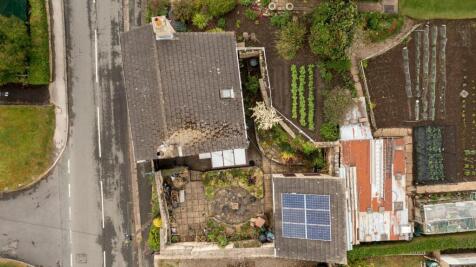 DJI_0376.jpg