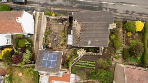 DJI_0377.jpg