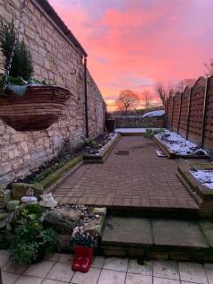 Garden.JPG