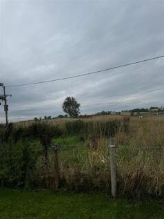 Fields