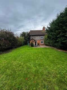 Back garden