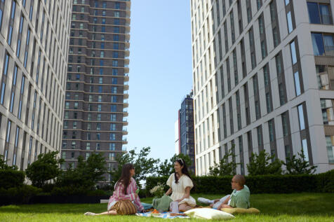 Tobymitchell2025 CMS 03 PICNIC 0280