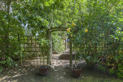 Vegetable Garden