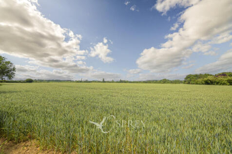 Countryside Views...