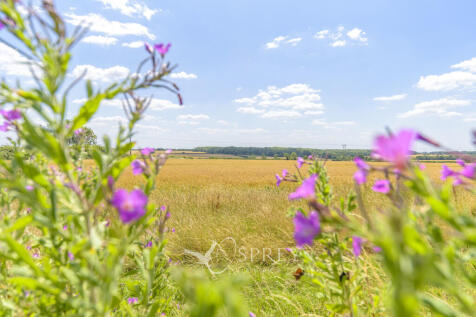 Countryside Views...