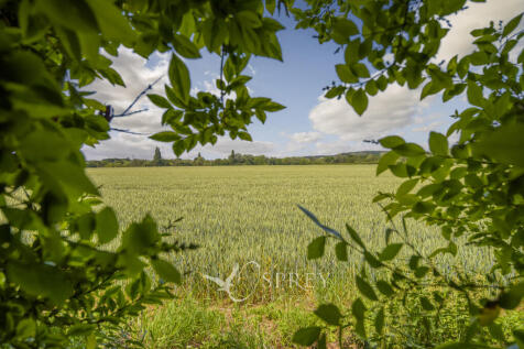 Countryside Views...