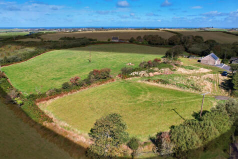 Aerial Whole Plot