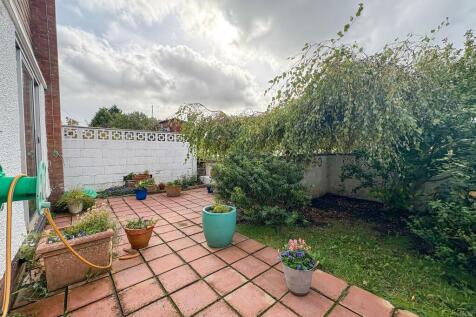 Back Garden