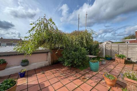 Back Garden