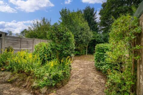 Back garden