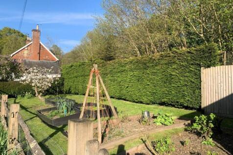 Kitchen garden