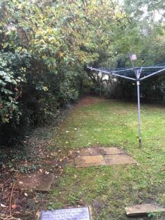 Private lawned garden bordered by mature hedgin...