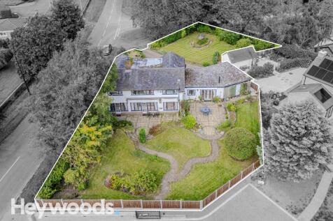 20240829-DJI_0542-Enhanced-SR - Copy