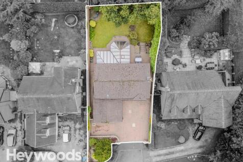 20240924-DJI_0079-Enhanced-SR - Copy