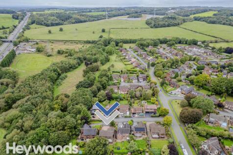 20240924-DJI_0082-Enhanced-SR - Copy