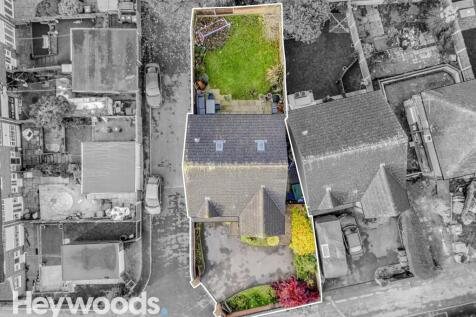 20241112-DJI_0126-Enhanced-SR - Copy