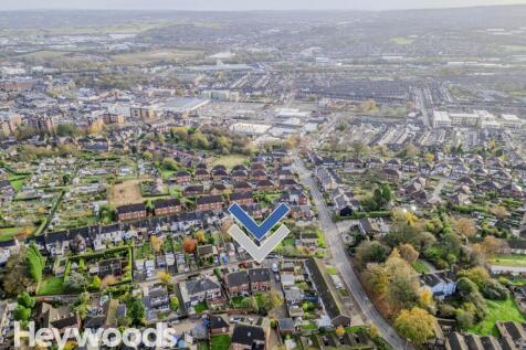 20241112-DJI_0128-Enhanced-SR - Copy