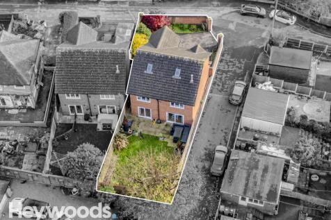 20241112-DJI_0131-Enhanced-SR - Copy
