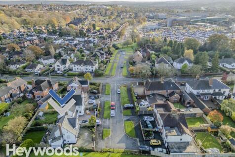 20241114-DJI_0224-Enhanced-SR